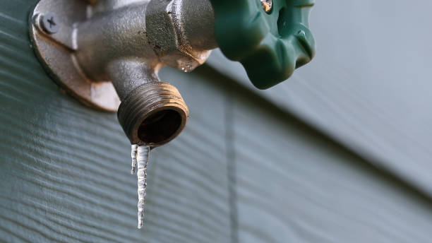 Best Residential Plumbing Services  in Leander, TX